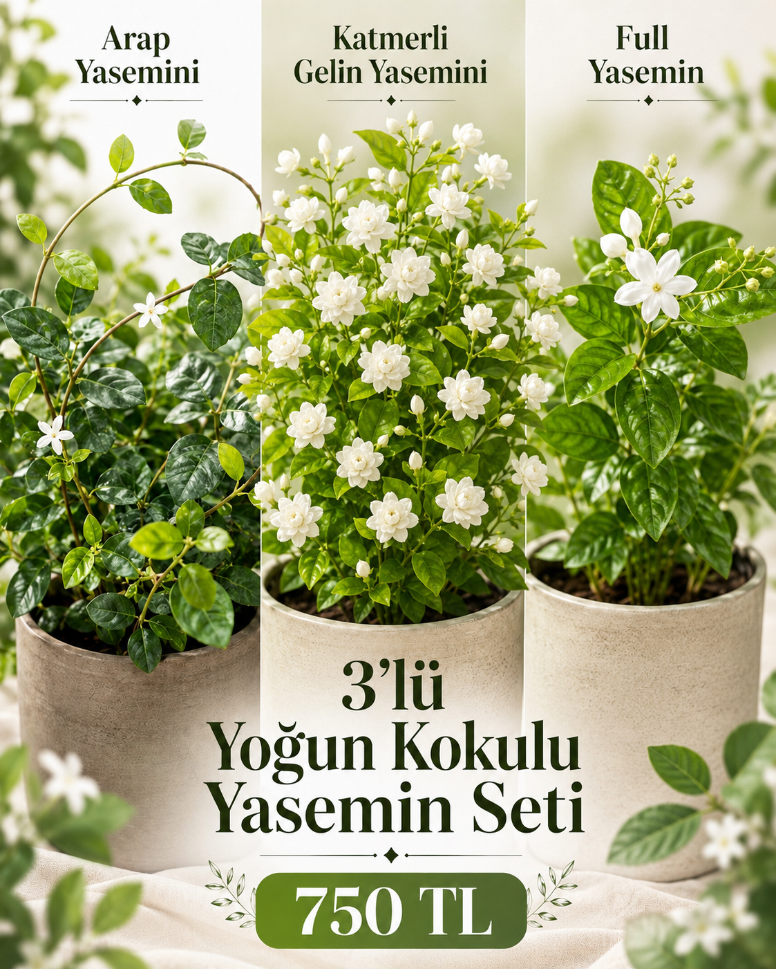 50427525-EAA9-4EA9-97D4-17BEE5882823 3 lü Kokulu Yasemin Seti - Görsel 1