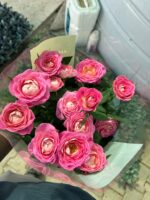 Şakayık Gül (Rosa) - Görsel 3