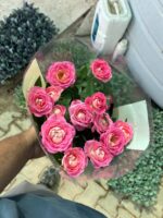 Şakayık Gül (Rosa) - Görsel 4