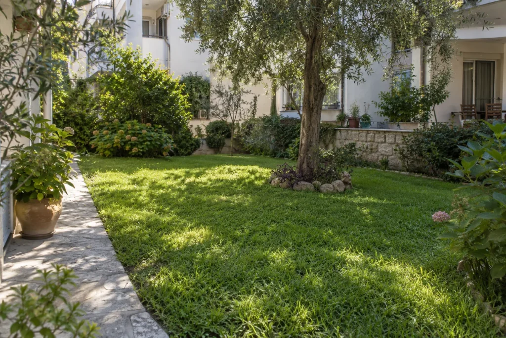 Apartman avlusunda ağaç gölgesi ve güneş alan çim bölümlerini gösteren temsili bahçe